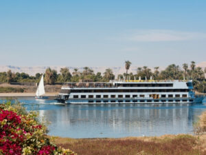 From Luxor: One-Night Nile Cruise Adventure to Aswan with Guided Tours & Meals