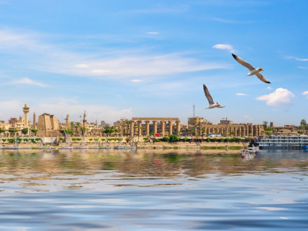 From Luxor: 3-Night Nile Cruise to Aswan with a Sunrise Hot Air Balloon Experience