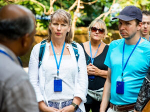 From Aswan: 4-Day Nile Cruise to Luxor with a Private Guide