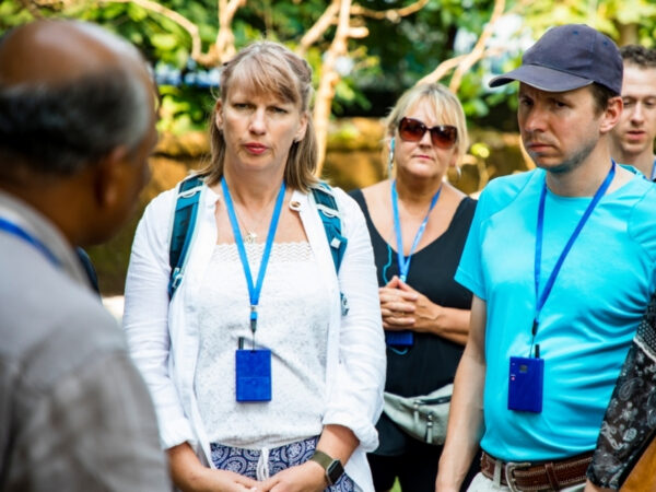 From Aswan: 4-Day Nile Cruise to Luxor with a Private Guide