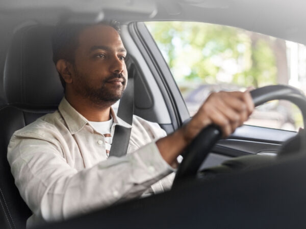 Aswan: Private Transfers to or from Aswan International Airport - Image 2