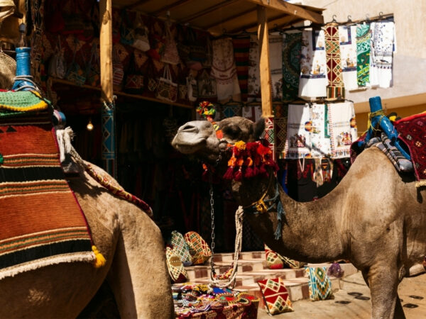 From Aswan: Explore Edfu, Kom Ombo, Philae & a Nubian Village with Lunch - Image 9